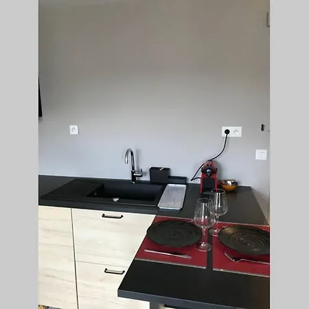 Cosy Et Raffine En Hypercentre Appartement Reims